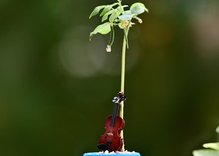 11회 나도 사진작가전 축하 드립니다.