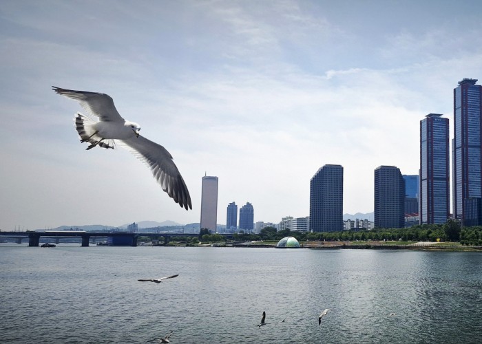 15 임미란-자유를 찾아서